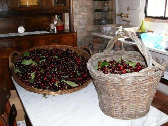 Maison d'hôtes Cascina La Buca à Castello di Serravalle Extérieur photo